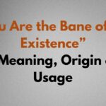 bane of my existence meaning