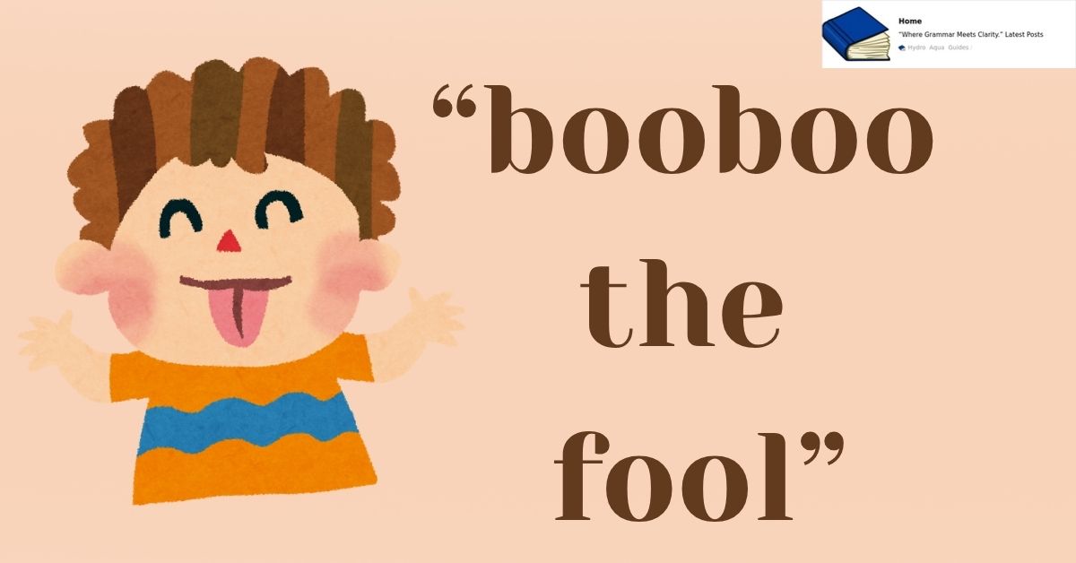 booboo the fool