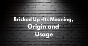 bricked up slang