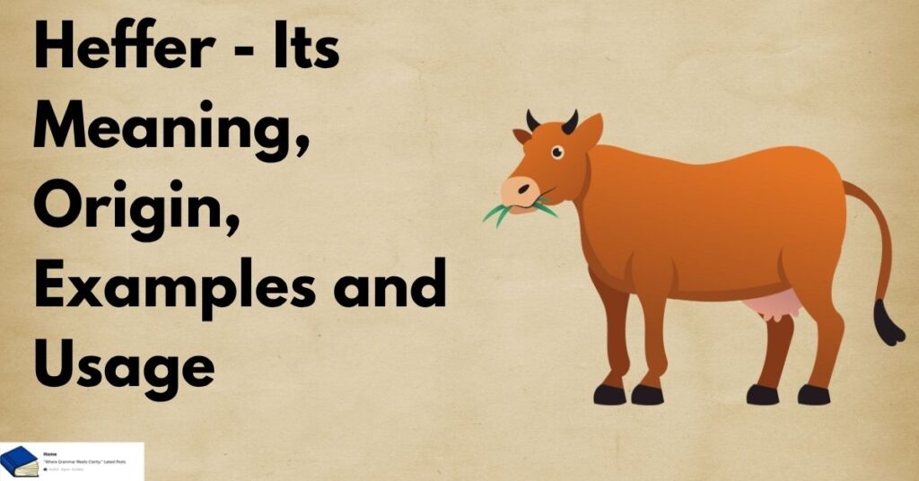 heffer meaning