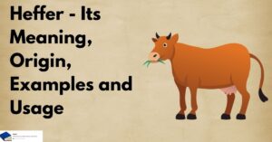 heffer meaning