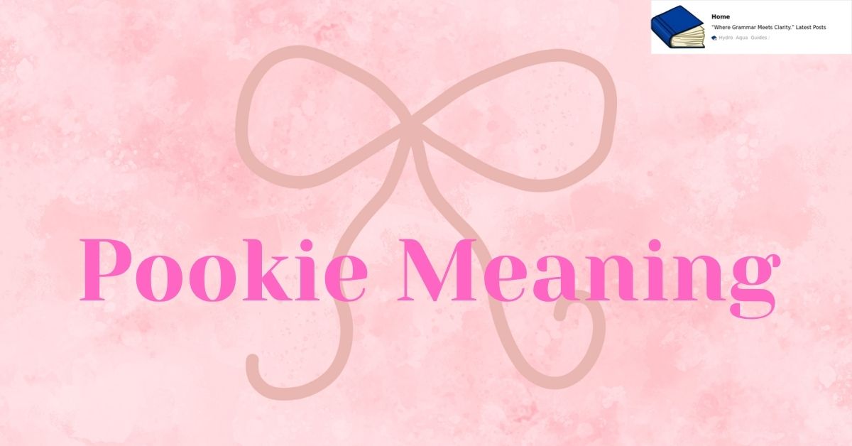 pookie meaning