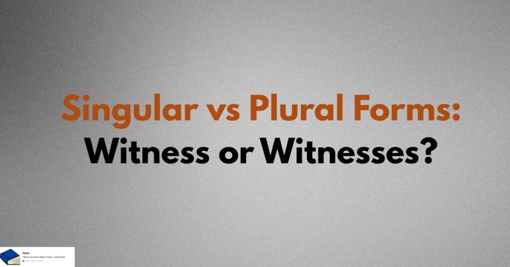 witness plural possessive