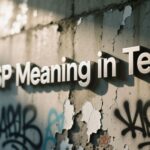 wsp meaning in text
