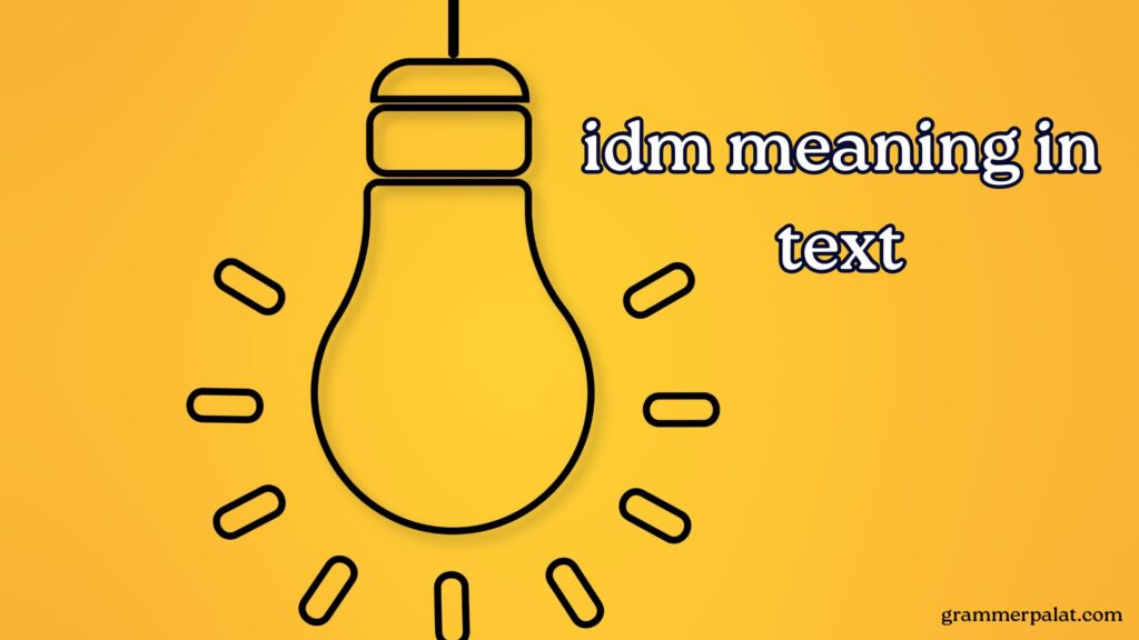 idm meaning in text