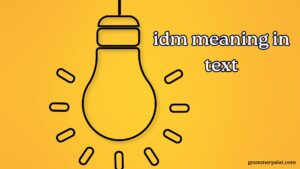 idm meaning in text