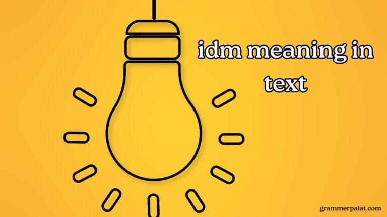 idm meaning in text