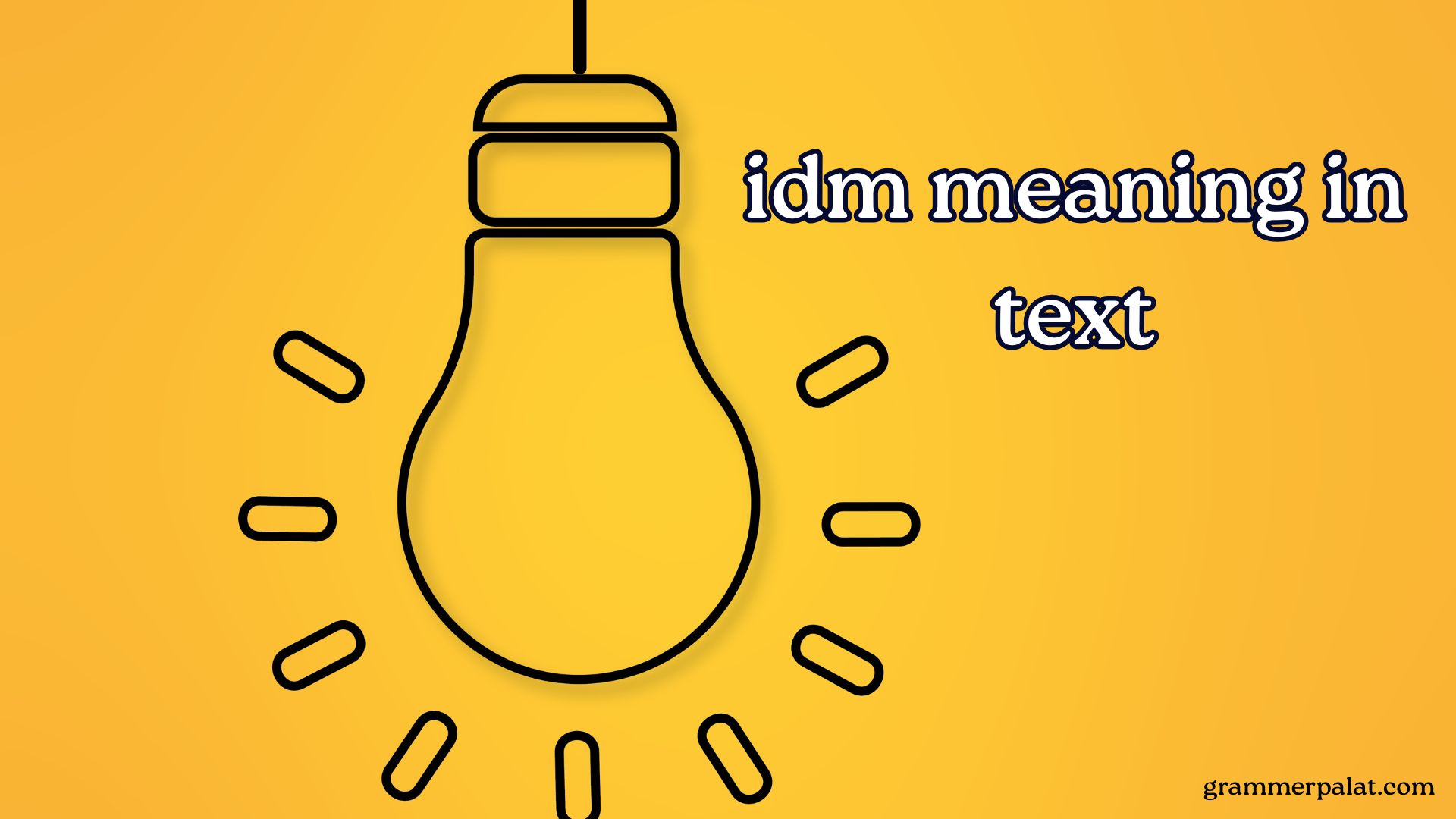 idm meaning in text