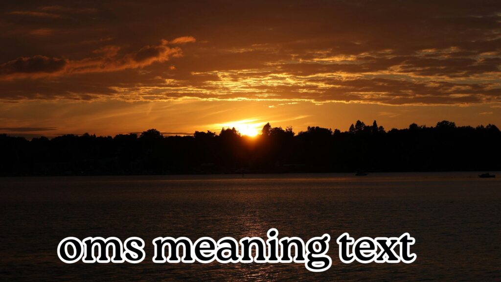 oms meaning text 
