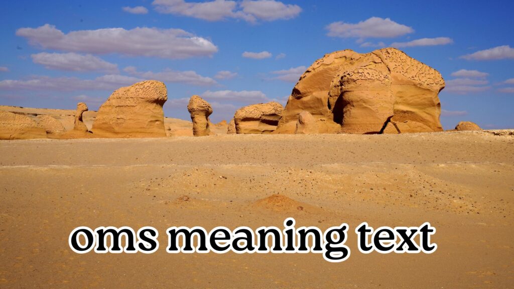 oms meaning text 