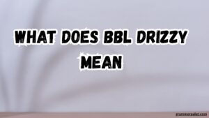 what does bbl drizzy mean
