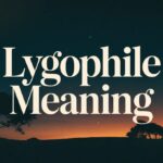 Lygophile Meaning