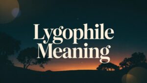 Lygophile Meaning