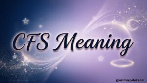 CFS Meaning