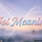 Joi Meaning