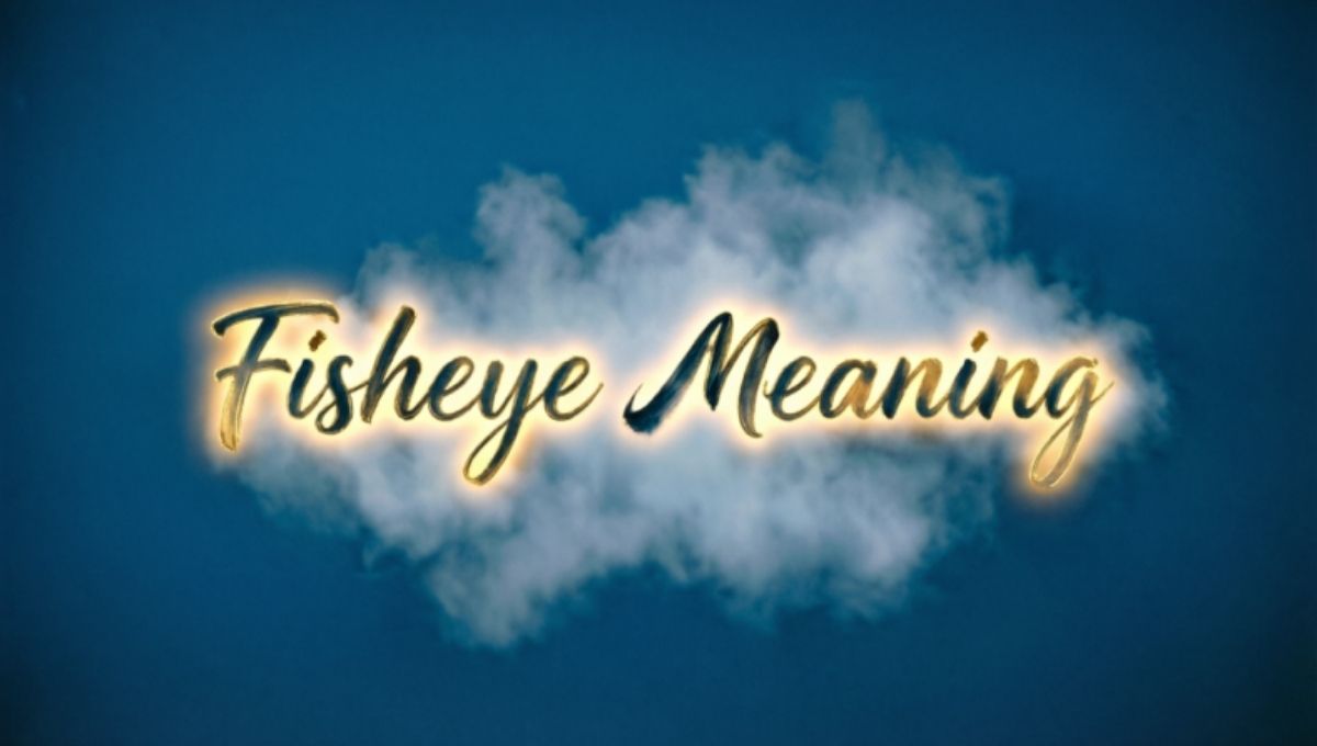 Fisheye Meaning