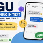 igu meaning text